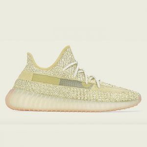 Adidas Yeezy 350 V2 Antlia