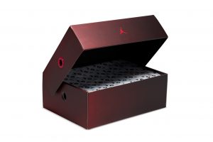 rui-hachimura-air-jordan-8-7